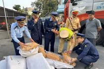 Hà Tĩnh thu giữ 300 kg ruốc bông không rõ nguồn gốc, xử phạt 17 triệu