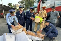 Hà Tĩnh thu giữ 300 kg ruốc bông không rõ nguồn gốc, xử phạt 17 triệu