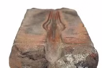 Phát hiện 'báu vật' cổ đại trong hòn đá bình thường tại Czech