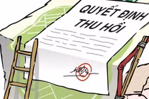 Thu hồi Giấy phép kinh doanh dược của Công ty Hóa dược Quốc tế Phương Nam