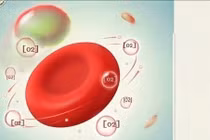 Giải mã các chỉ số xét nghiệm tổng phân tích máu