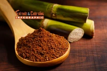 [INFOGRAPHIC] Lợi ích bất ngờ của đường đen 