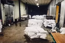 Vụ tuồn 120 tấn lợn bệnh vào Đồ hộp Hạ Long, các đối tượng sẽ bị xử lý sao?