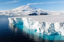 Chuyên gia tiết lộ khả năng sinh tồn của vi sinh vật ở Nam Cực