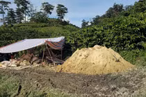 Lâm Đồng triệt xóa mỏ vàng trái phép, thu giữ gần 18 cây vàng