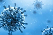 Bộ Y tế yêu cầu siết chặt phòng chống virus bại liệt