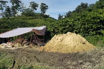 Lâm Đồng triệt xóa mỏ vàng trái phép, thu giữ gần 18 cây vàng