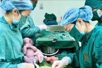 Chuyển dạ, buồn nôn... thai phụ viêm tụy cấp nguy kịch vì mỡ máu