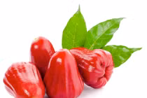 Lợi ích tuyệt vời của quả roi đối với sức khỏe