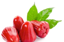 Lợi ích tuyệt vời của quả roi đối với sức khỏe