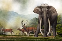 Soi loài voi ngà thẳng khổng lồ bị người Neanderthal săn bắt 