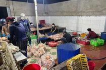 Khánh Hòa tạm giữ 10 tấn gia cầm vi phạm an toàn thực phẩm