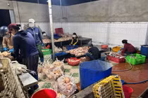 Khánh Hòa tạm giữ 10 tấn gia cầm vi phạm an toàn thực phẩm