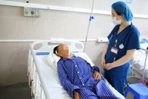 Ăn nấm màu hồng tự hái, 4 người phải nhập viện cấp cứu