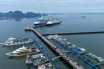 Quảng Ninh tạm dừng hoạt động trên biển để tránh bão số 11 Matmo