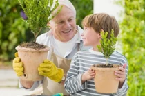 Làm thế nào để con yêu thương, gần gũi ông bà?