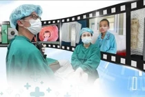 Hơn 60 người hóc dị vật, bác sĩ cảnh báo 