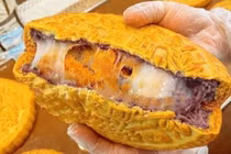 Những vị bánh Trung thu gây sốt năm 2025
