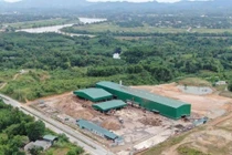 Dừng hoạt động doanh nghiệp gỗ xảy ra tai nạn chết người