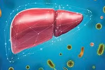 Con đường lây nhiễm viêm gan B, phòng tránh thế nào?