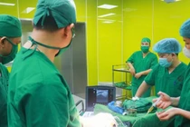 Gây mê phá đông trị đau khớp vai mạn tính kéo dài