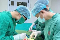 Bệnh nhi 2 tuổi sốt cao do viêm tinh hoàn, bệnh không thể xem nhẹ