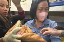 Nghẹt thở ca sinh non trên tàu hỏa đang chạy
