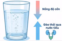 3 cách giải rượu chuẩn y khoa ngày Tết