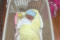 Phát hiện bé sơ sinh bị bỏ rơi trong vườn chuối tại Phú Thọ