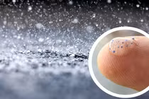 Bất ngờ loài thực vật giúp loại bỏ tới 90% vi nhựa trong nước