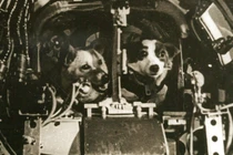 Chuyến bay lịch sử của Sputnik 5 và hai chú chó anh hùng 