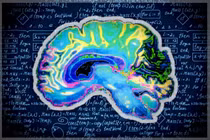 Não người thoái hóa sau nhiều ngày dùng ChatGPT