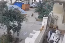 Đang chơi trong khu dân cư, bé gái bị chó hoang tấn công