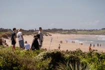 Đang lướt sóng, người đàn ông bị cá mập tấn công tử vong