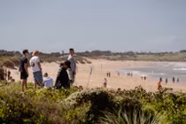 Đang lướt sóng, người đàn ông bị cá mập tấn công tử vong