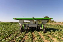 Robot năng lượng mặt trời thay nông dân nhổ cỏ 