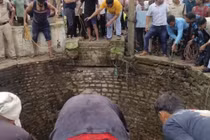 Xuống giếng cứu động vật, 5 người tử vong thương tâm