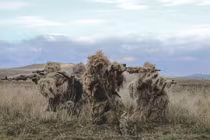 Quân đội Nga sử dụng áo tàng hình trong các cuộc tấn công