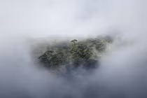 Choáng ngợp trước cảnh đẹp thiên nhiên ở New Zealand