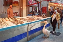 Loạt hình gây kinh ngạc về cuộc sống ở Ai Cập