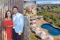 Bị voi tấn công, chủ khu bảo tồn động vật hoang dã tử vong