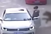 Khoảnh khắc kinh hãi người phụ nữ bị hổ tấn công trong vườn thú