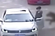Khoảnh khắc kinh hãi người phụ nữ bị hổ tấn công trong vườn thú