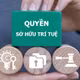 Ra quân ngăn chặn, xử lý hành vi xâm phạm quyền sở hữu trí tuệ trên toàn quốc