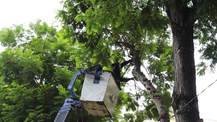 Huong ve ngay dai le, TP HCM gap rut hoan thien san khau, khan dai-Hinh-6