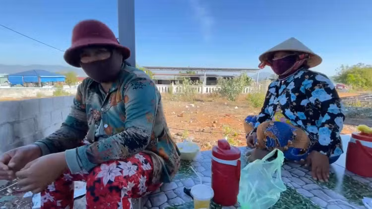 Tinh trang “xin deu” tai nghia trang Phan Thiet: Chinh quyen noi gi?-Hinh-2