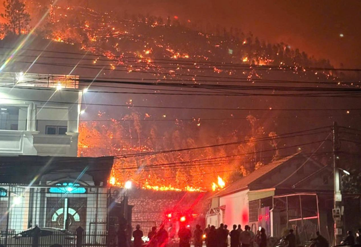 Pho Thu tuong chi dao khan sau 2 vu chay rung o Quang Ninh