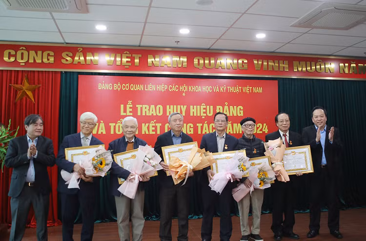 Dang uy co quan Lien hiep Hoi Viet Nam trao huy hieu Dang cho 37 dang vien-Hinh-5