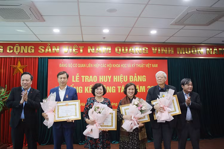 Dang uy co quan Lien hiep Hoi Viet Nam trao huy hieu Dang cho 37 dang vien-Hinh-7