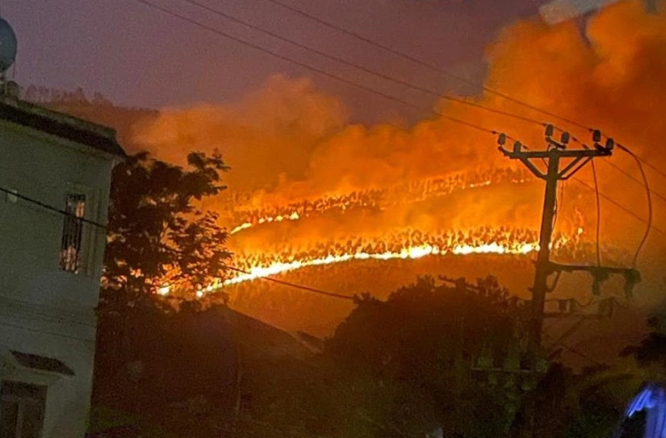 Chay lon tai khu rung trong bach dan o Vinh Phuc